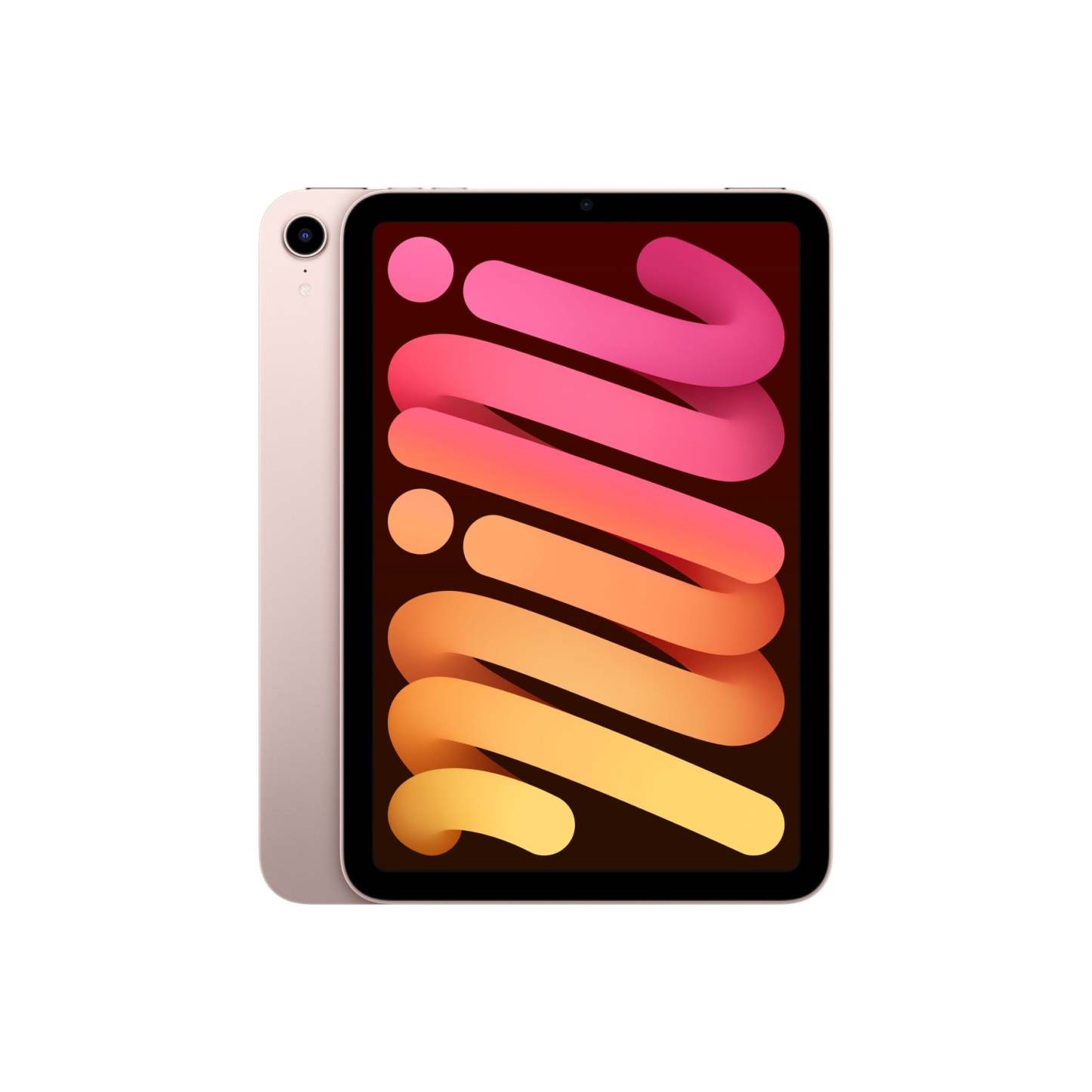 iPthtad mini (8.3-inch, 2021, 6th Generation) Wi-Fi + Cellular