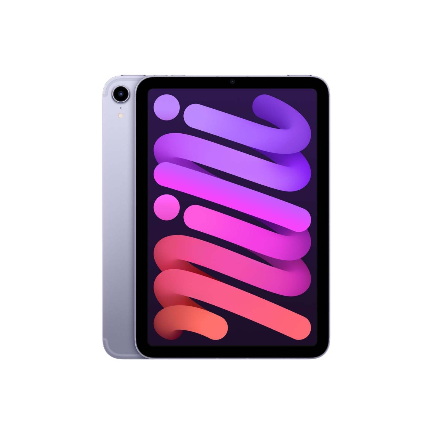 iPthtad mini (8.3-inch, 2021, 6th Generation) Wi-Fi + Cellular