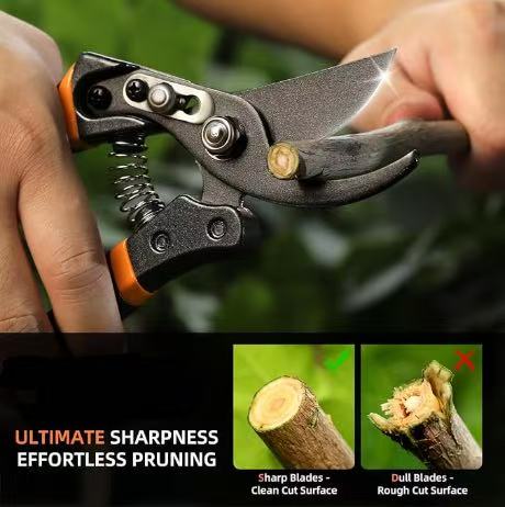 Leaflooms 8.5" Professional Bypass Garden Scissors & Clippers for Branch Trimming