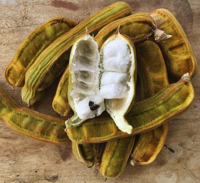IceCreamBean seeds