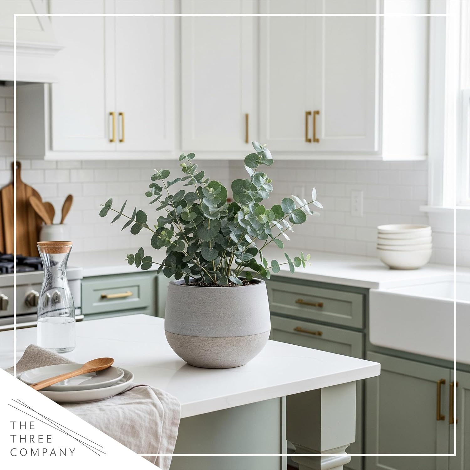 Leaflooms Eucalyptus Seeds | Fast Germination & Easy Growing | Aromatic Fresh Scent for Shower Bundles & Home Décor | Indoor Outdoor Planting | Ideal for Gardens, Balconies, Pots | Eucalyptus Seeds for Beginners