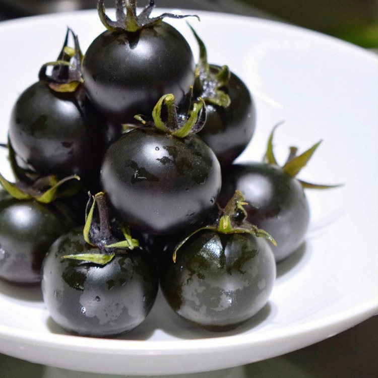 Black Tomato - Black Beauty Queen🍅