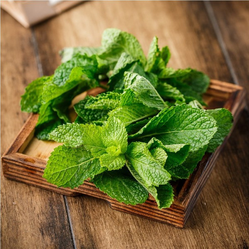 Spearmint Seeds