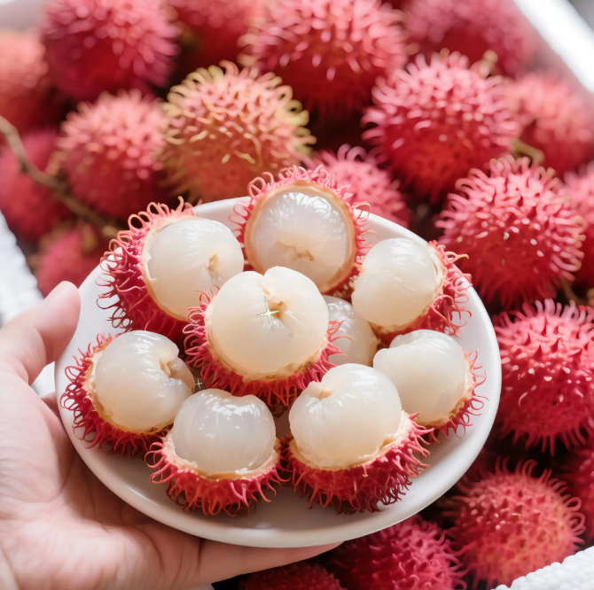 Rambutan | Exotic Tropical Fruit · Sweet & Juicy · Lychee-Like Flavor 🍈🌴