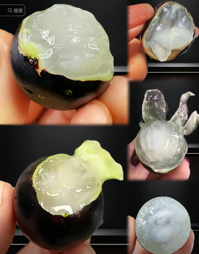 Jaboticaba | Exotic Tropical Fruit · Sweet & Juicy · Perfect for Home Gardens 🌿🍇