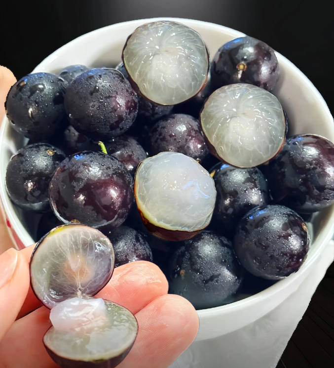 Jaboticaba | Exotic Tropical Fruit · Sweet & Juicy · Perfect for Home Gardens 🌿🍇