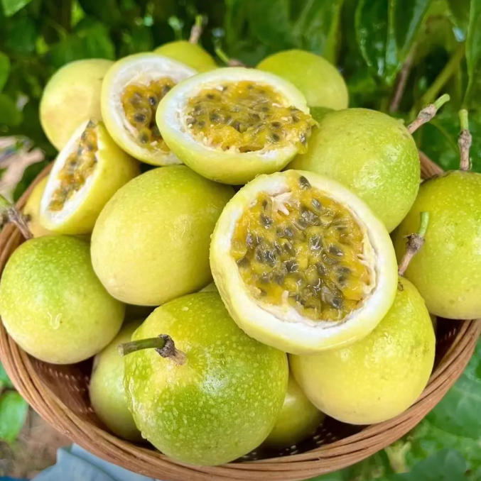 Passion Fruit Seeds – Easy to Grow, High Germination Rate