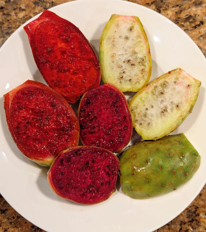 Prickly Pear Cactus Seeds for Planting – Easy to Grow Edible Cactus Fruit, Non-GMO Drought Tolerant Plant for Garden & Pots