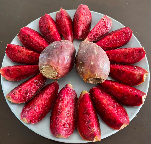 Prickly Pear Cactus Seeds for Planting – Easy to Grow Edible Cactus Fruit, Non-GMO Drought Tolerant Plant for Garden & Pots