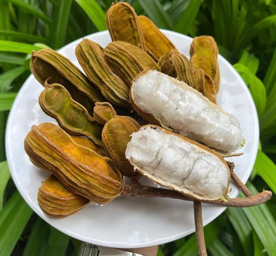 IceCreamBean seeds