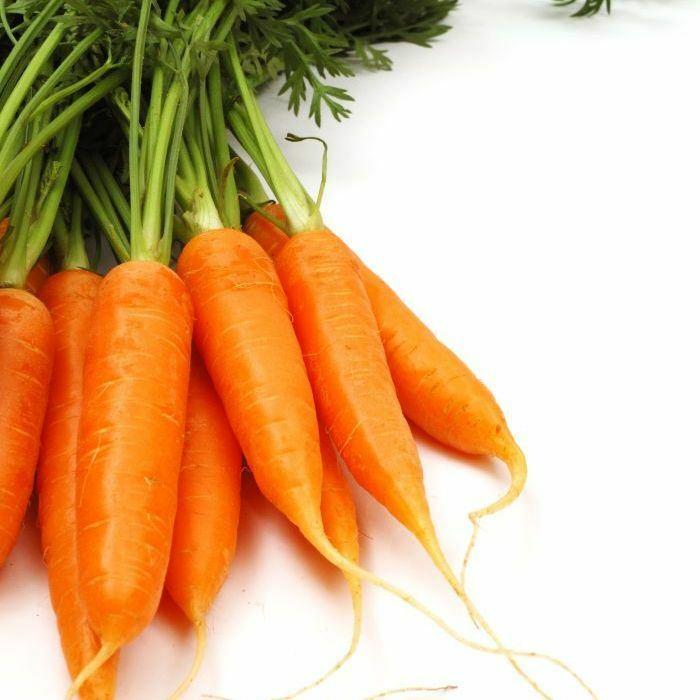 Carrot Royal Chantenay