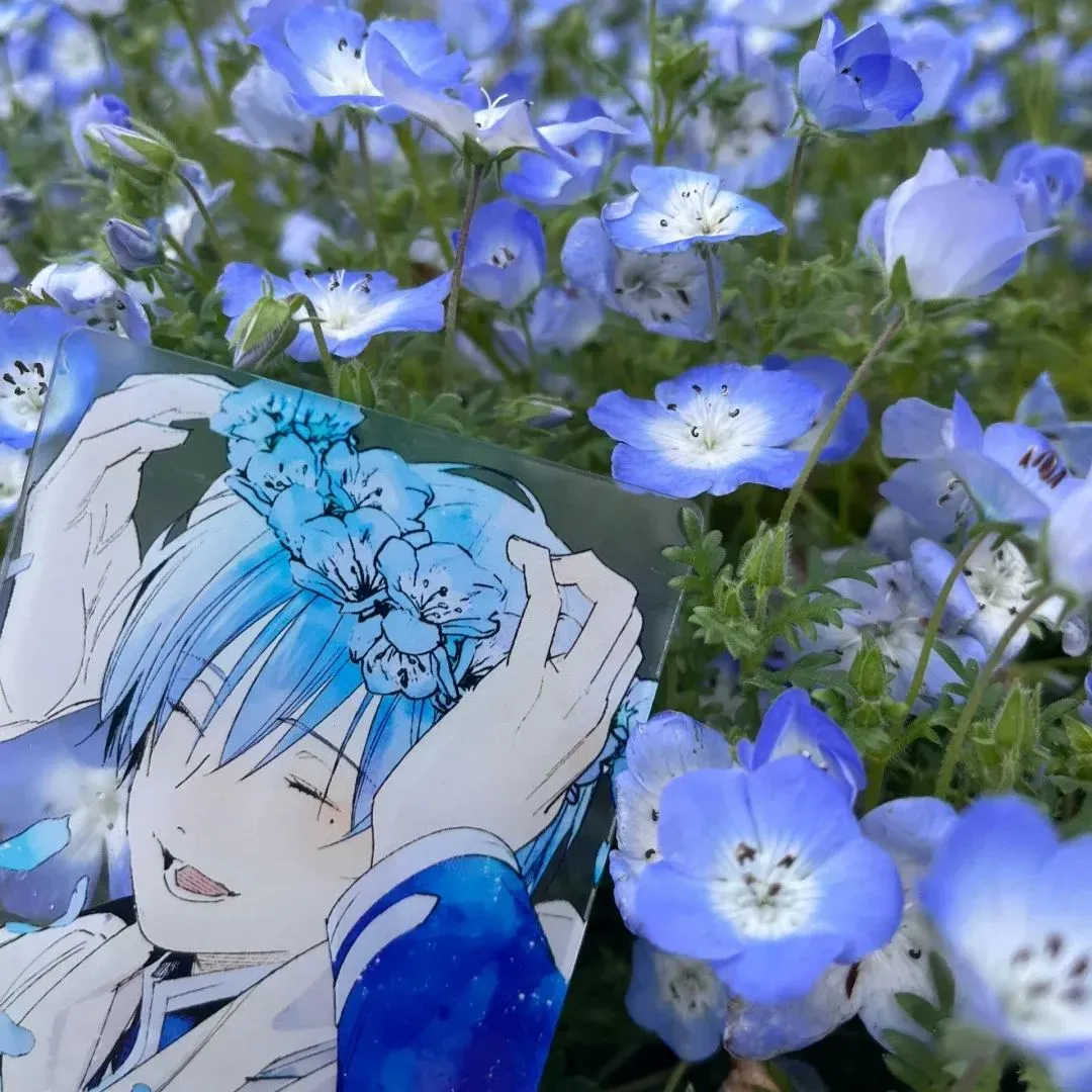 Baby Blue Eyes Seeds