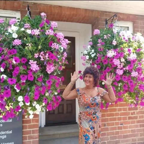 Last Day Sale - 60% OFF💐Morning Glory - Hanging Petunia Seeds Mixed Color