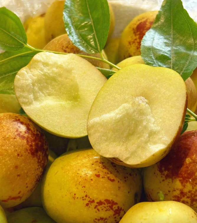 Rock Sugar Jujube | Naturally Sweet · Thin Skin & Thick Flesh · Nutritious Healthy Snack 🍬🍎