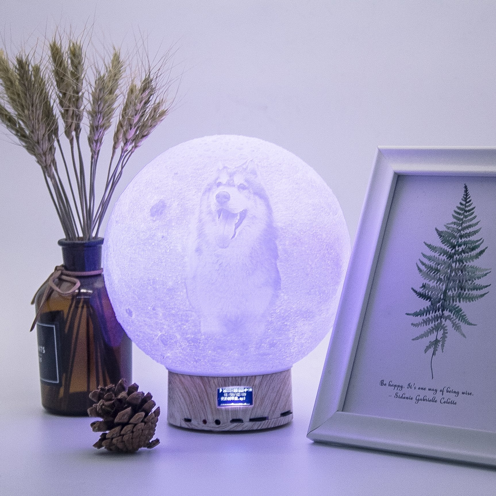 3D Bluetooth Speaker Moon Light-A Loves Gift