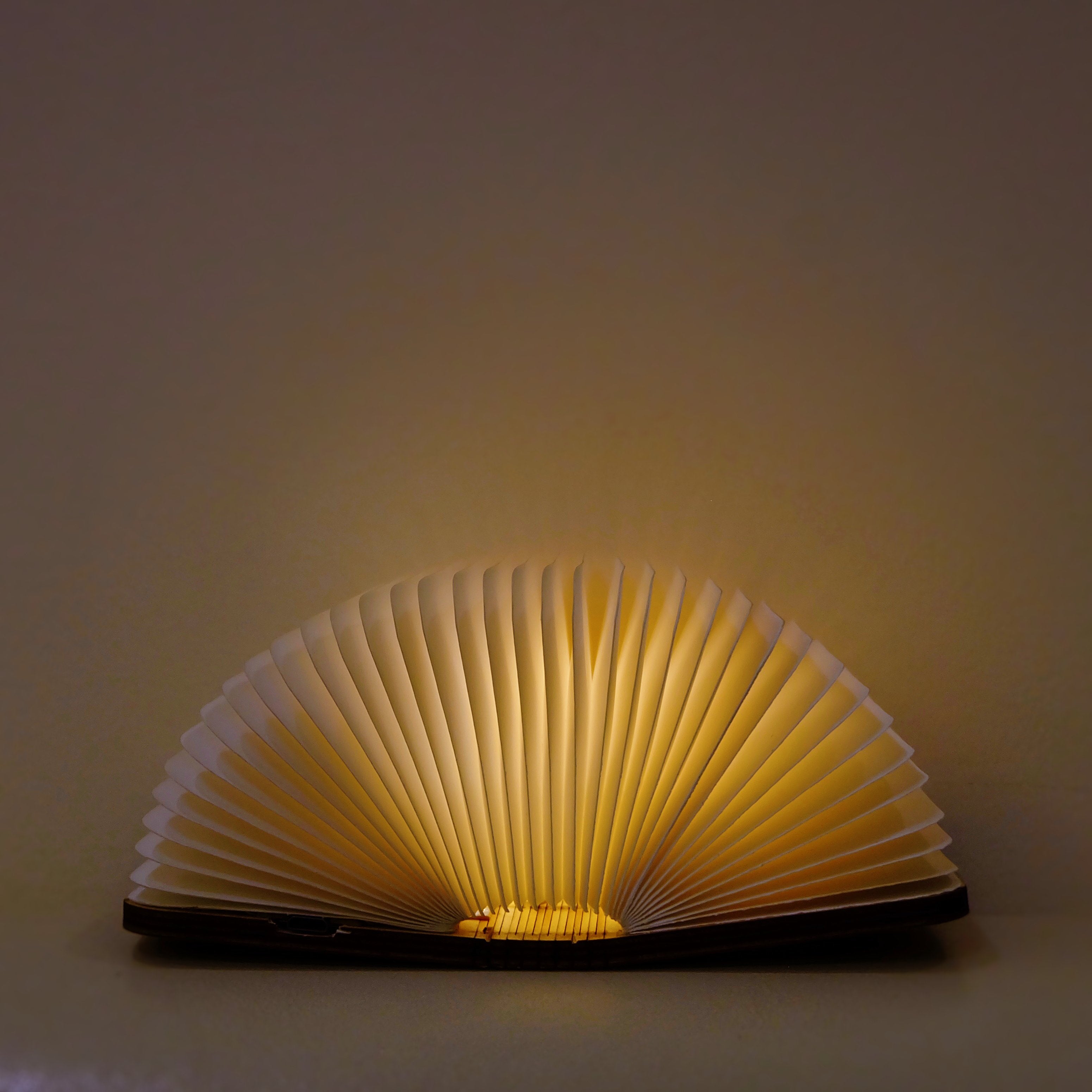 Customized Wooden Book Lamp-A Loves Gift