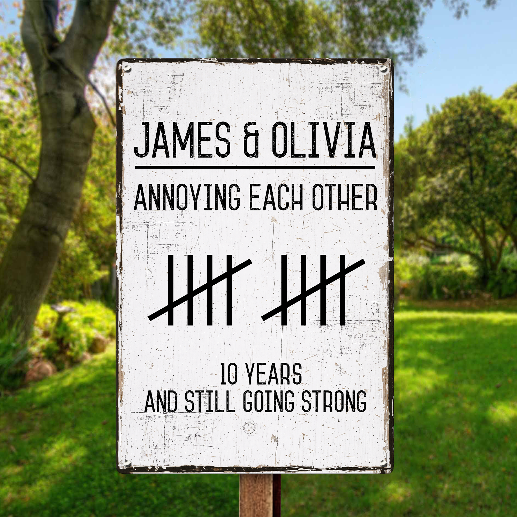 Annoying Each Other And Still Going Strong - Personalized Metal Sign