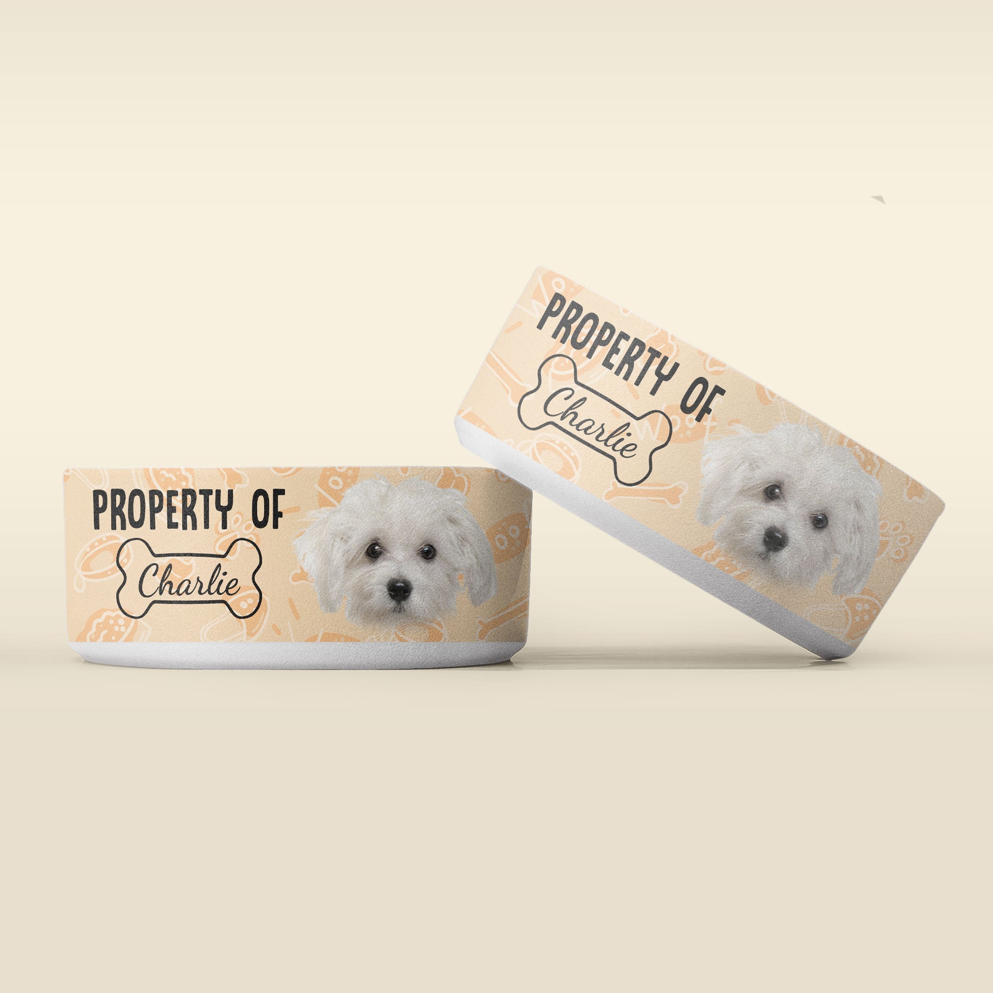 Property Of My Dog/Cat - Personalized Photo Pet Bowl