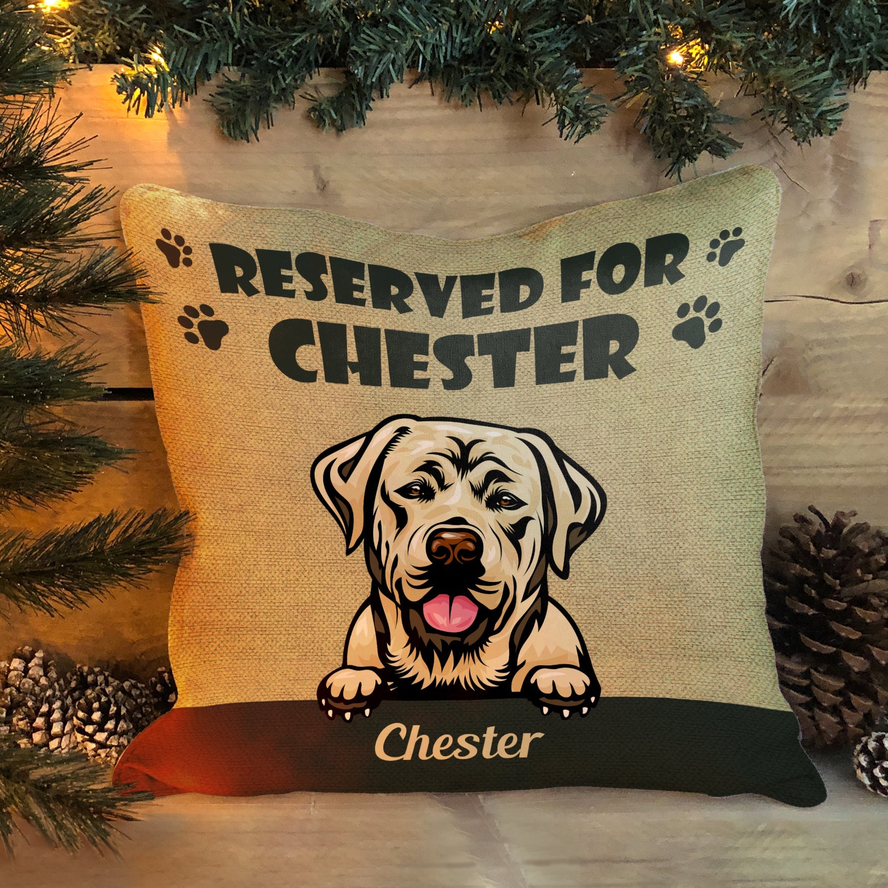 Reserved For My Cats And Dogs - Personalized Pillow (Insert Included) - Birthday Gift For Dog And Cat Parents