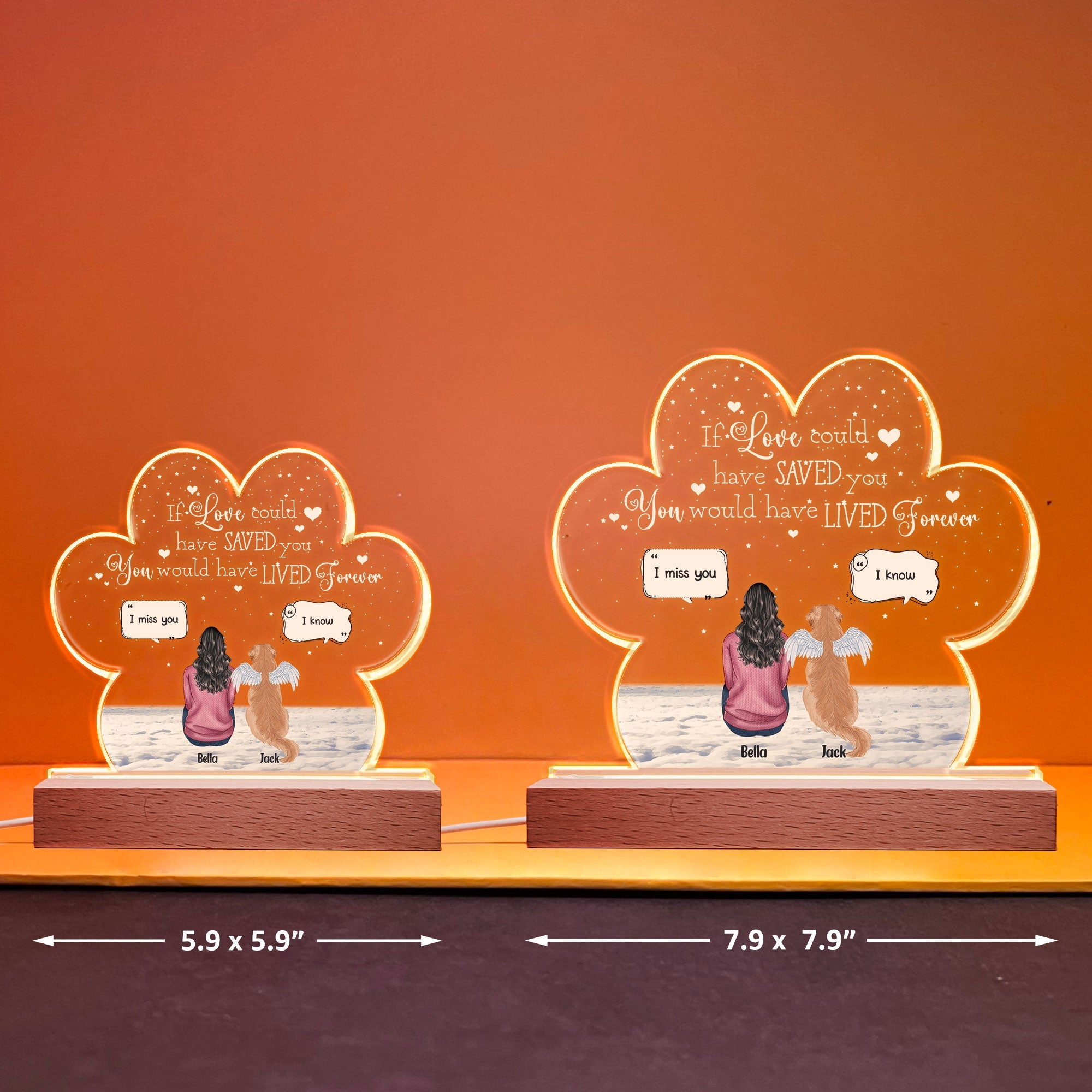 You Were My Favorite Hello And Hardest Goodbye - Personalized LED Light