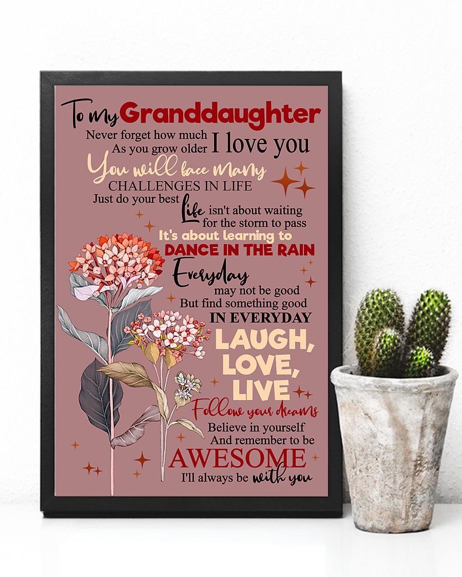 To My Granddaughter Poster-A Loves Gift