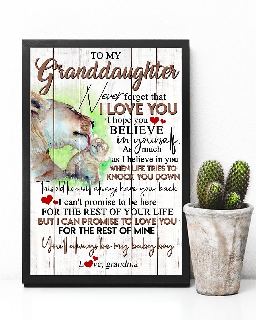 To My Granddaughter Poster-A Loves Gift