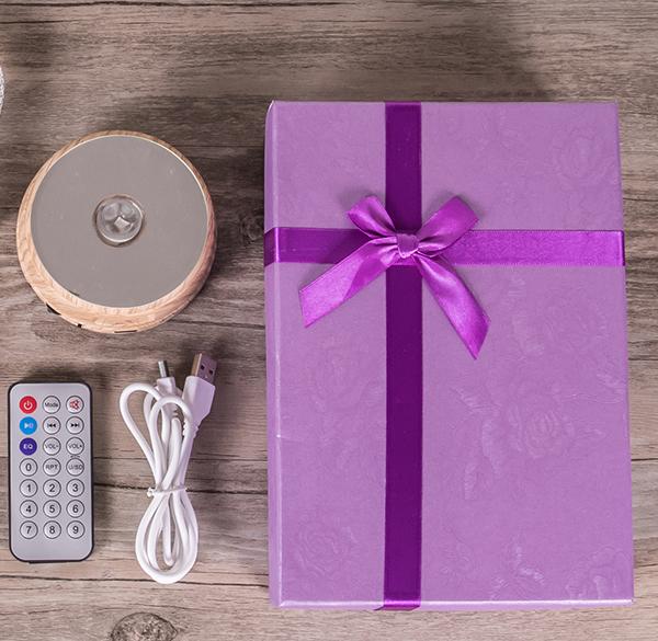 Bluetooth - colorful music lights-A Loves Gift