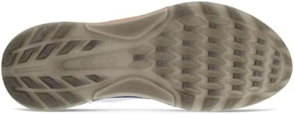 Men's Biom C4 Gore-tex Waterproof Golf Shoe