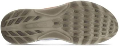 Men's Biom C4 Gore-tex Waterproof Golf Shoe