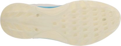 Men's Biom C4 Gore-tex Waterproof Golf Shoe