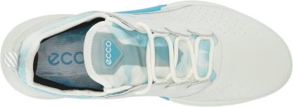 Men's Biom C4 Gore-tex Waterproof Golf Shoe