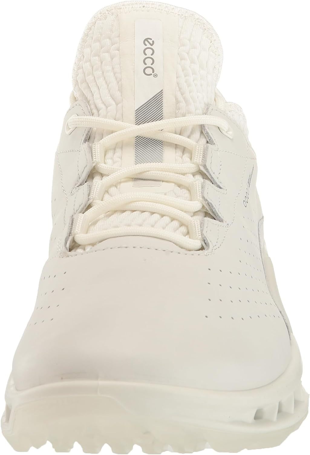 Men's Biom C4 Gore-tex Waterproof Golf Shoe