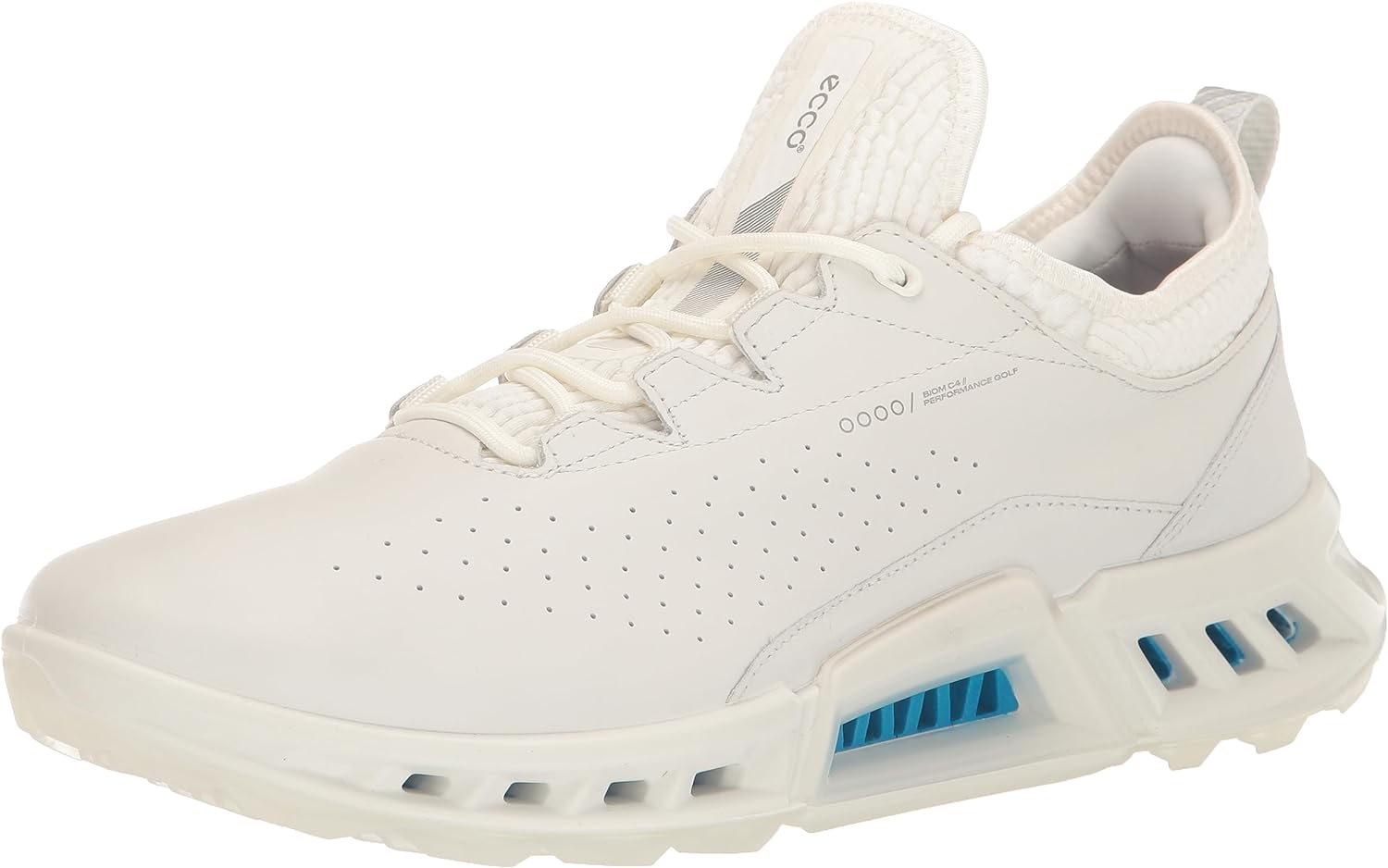 Men's Biom C4 Gore-tex Waterproof Golf Shoe