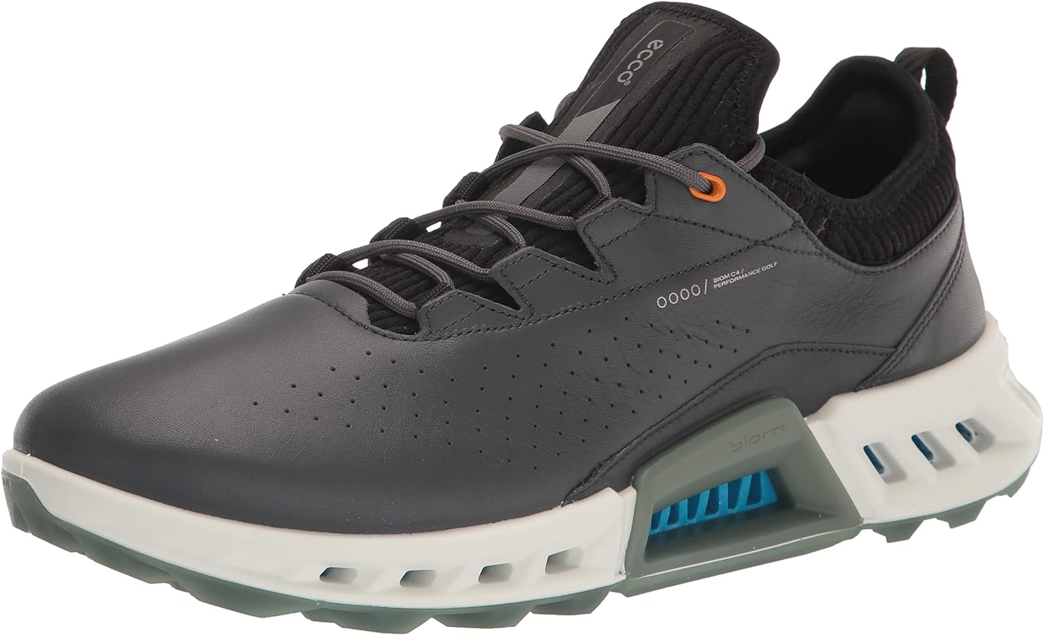 Men's Biom C4 Gore-tex Waterproof Golf Shoe