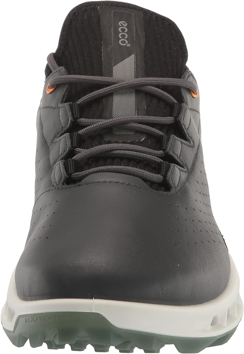 Men's Biom C4 Gore-tex Waterproof Golf Shoe