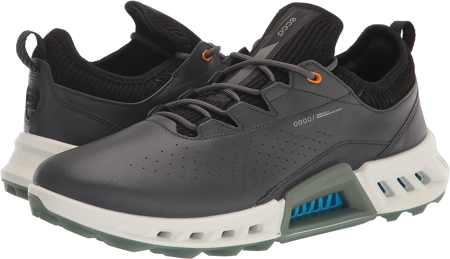 Men's Biom C4 Gore-tex Waterproof Golf Shoe