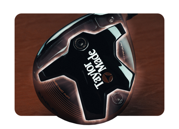 BRNR Mini 24 Fn B 2 Max