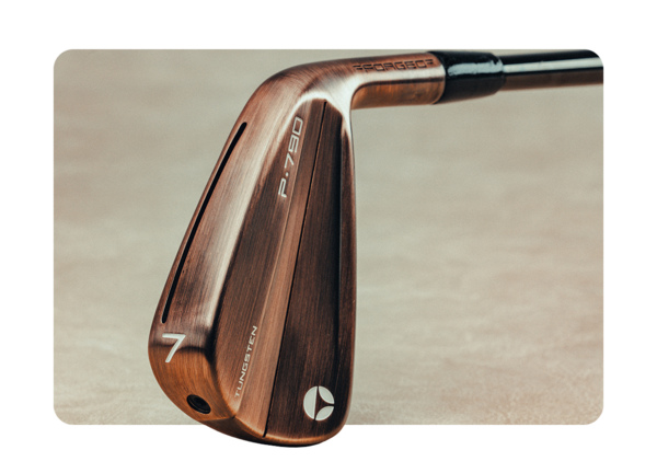 P790 Copper 24 Fn B 2 Max