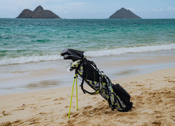 TM24 ACC JE893 N2695701 Flextech Carry Hawaii Volt DKM 06124 v1 1280x1280