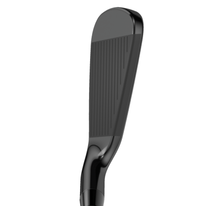 Apex 21 Black Irons