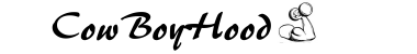 Cowboyhood