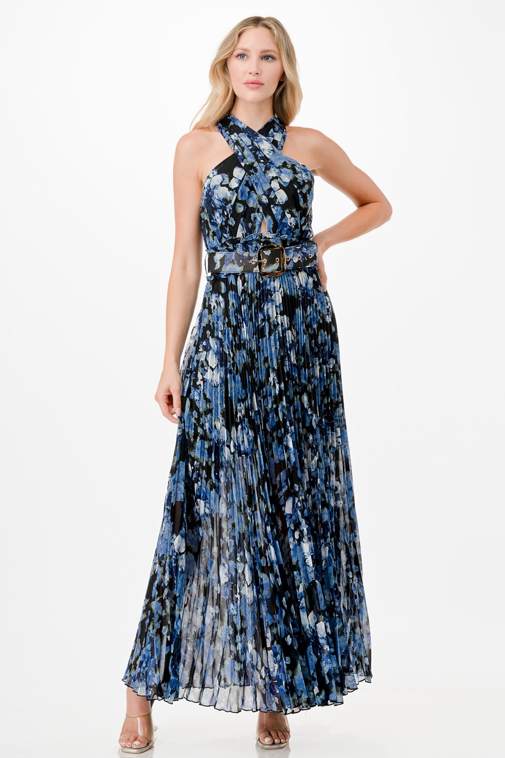 Floral Print Pleats Maxi Dress