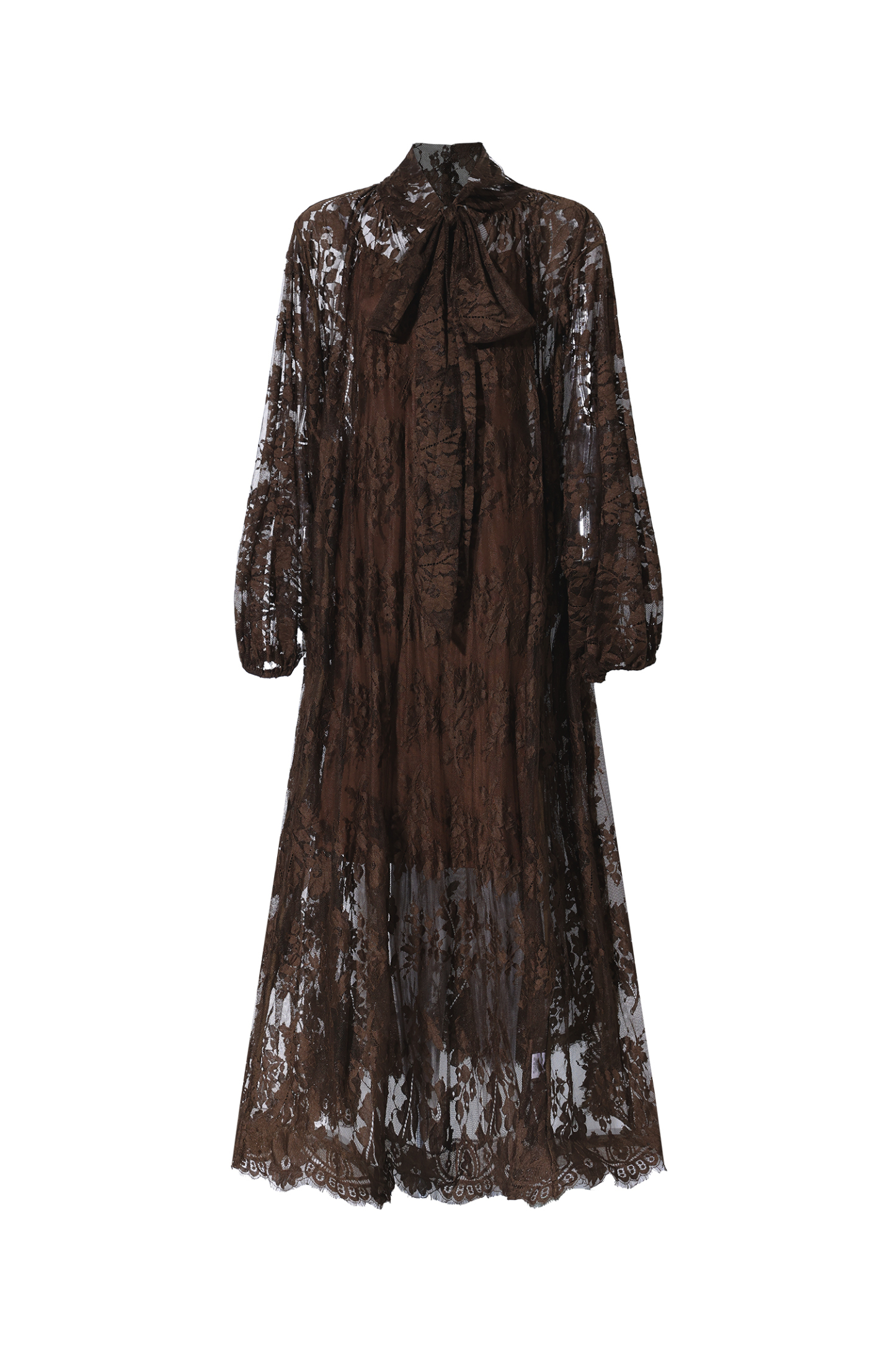 Deliyn Resort Flowy Long Sleeve Embroidered Mesh Lace Maxi Dress