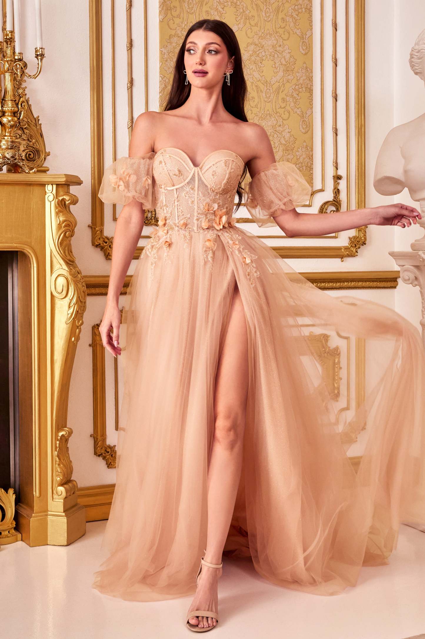 A-Line Strapless Floral Appliques Tulle Ball Gown #CB080