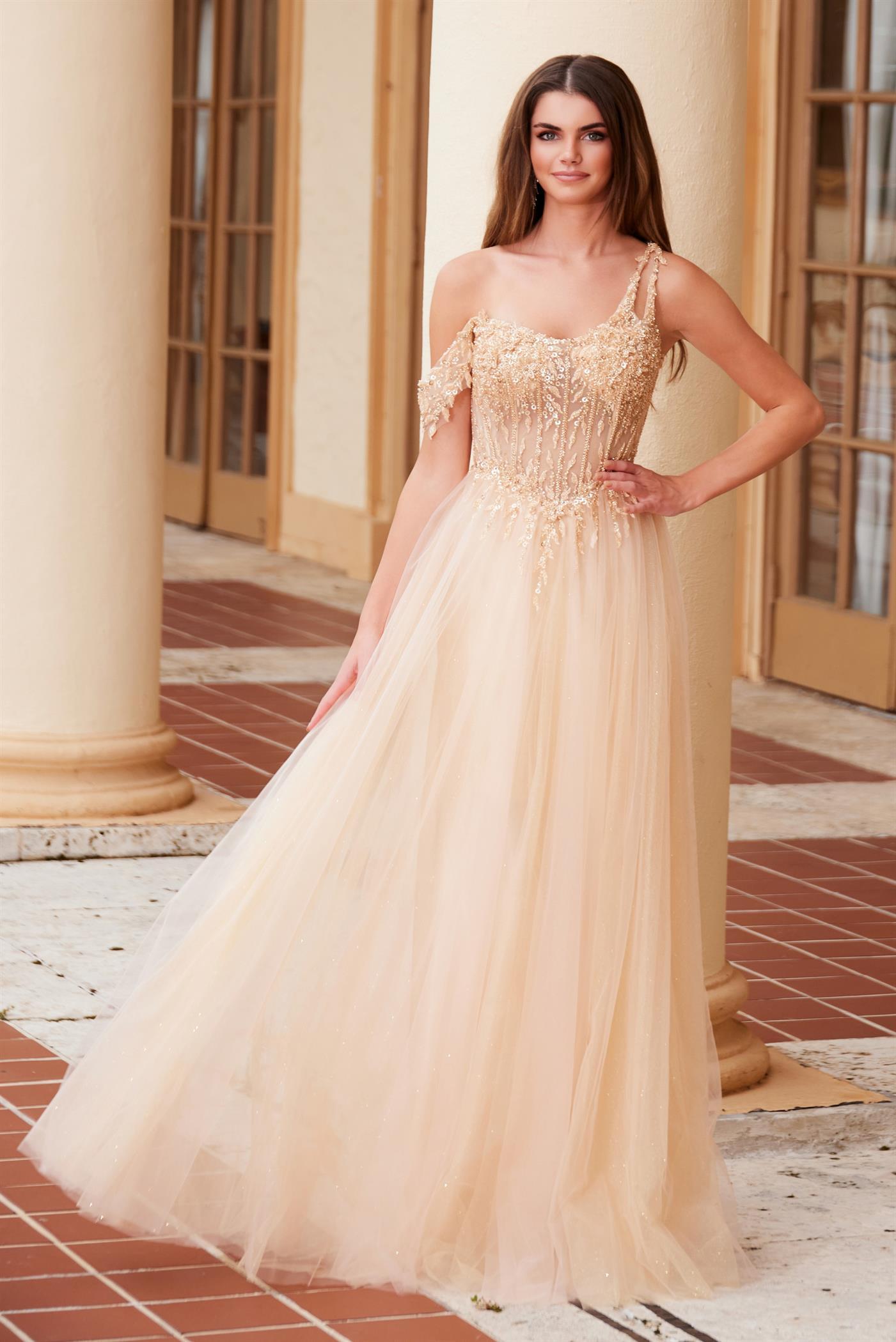 A-LINE LONG DRESS WITH A BONED SHEER F1567