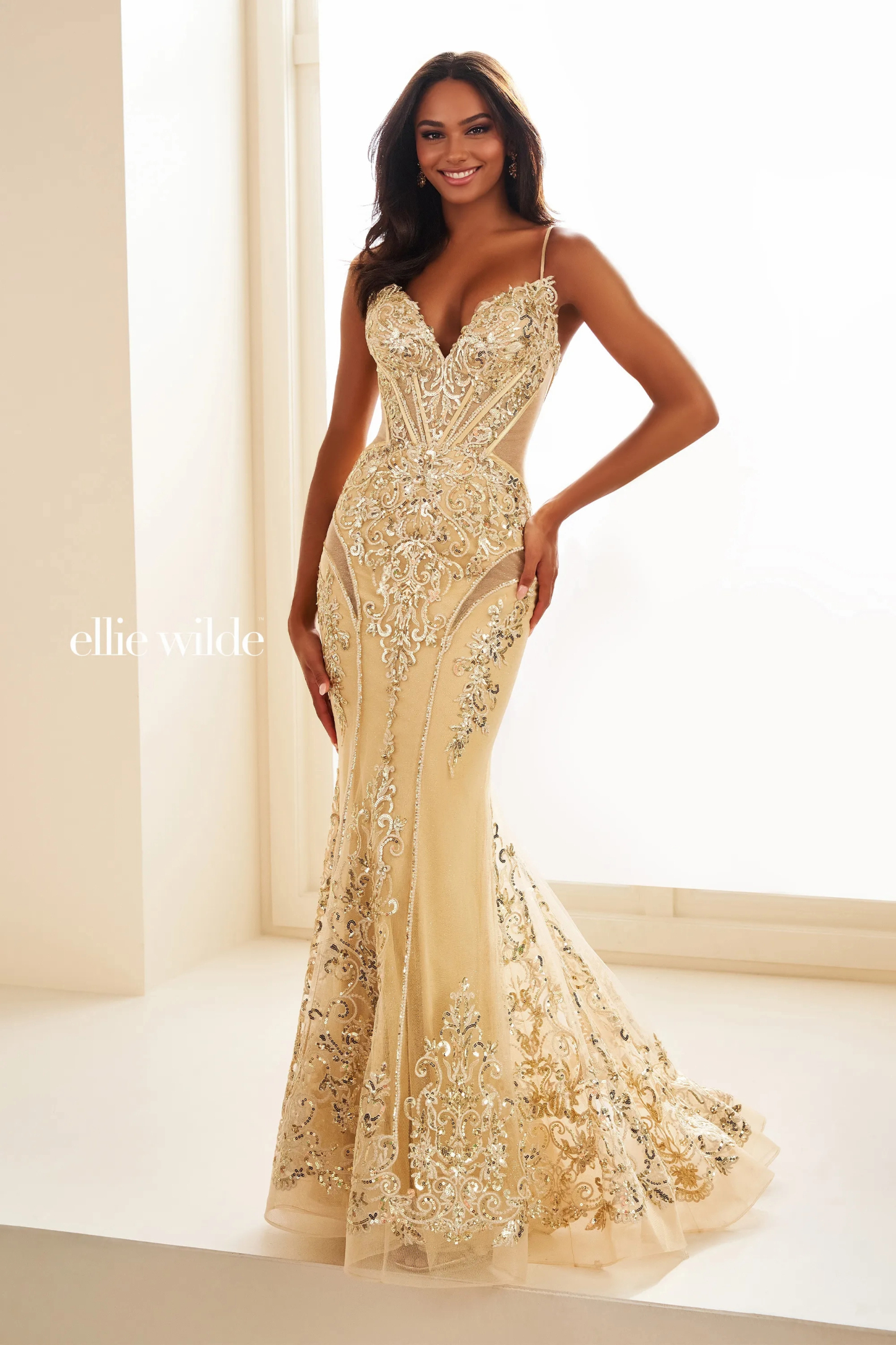 Mermaid Sweetheart Lace Appliques Dropped Tulle Prom Dress #EW36006