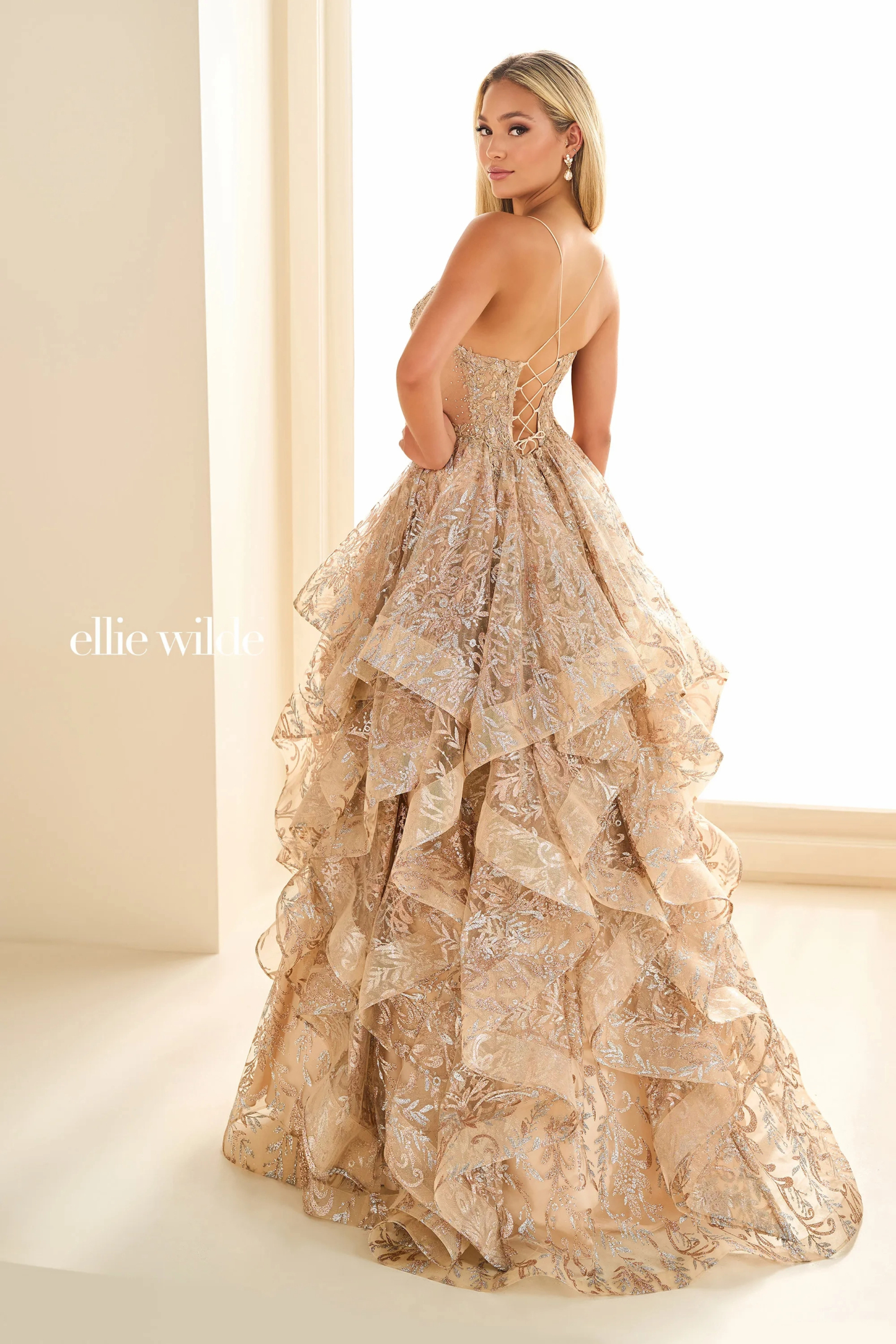 Ball Gown Deep V-neck Cracked Ice Lace Appliques Dropped Prom Dress #EW36054