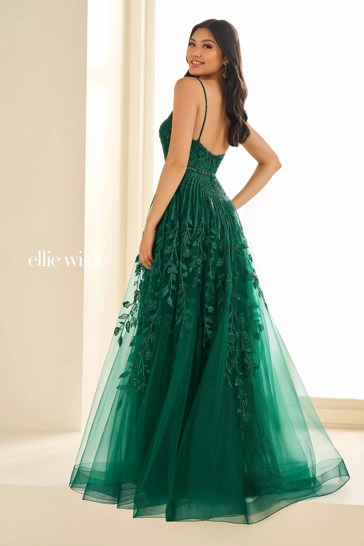 A-Line Curved Glitter Tulle Lace Appliques Tulle Prom Dress # Ellie Wilde EW36068