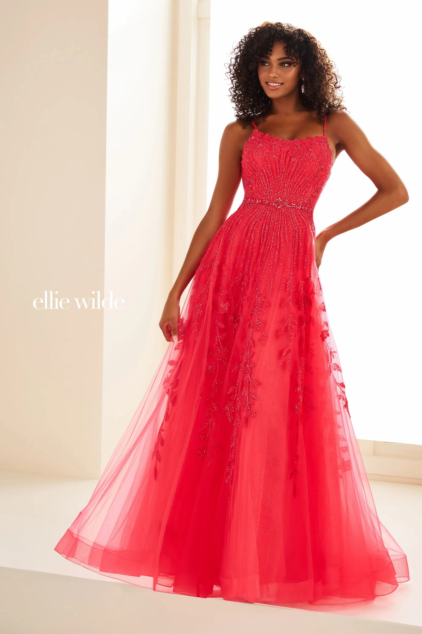 A-Line Curved Glitter Tulle Lace Appliques Tulle Prom Dress # Ellie Wilde EW36068