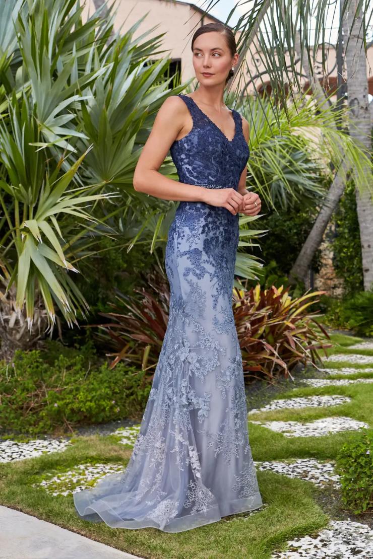 Fit And Flare Ombre Embroidered Allover Lace Mother Of The